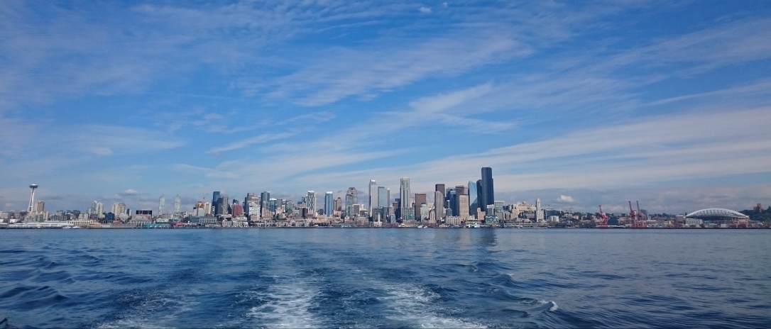 Seattle Water Skyline